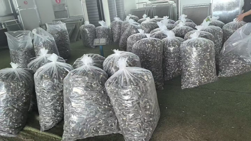 5-7公分羊肚菌干货新货足干电商代发