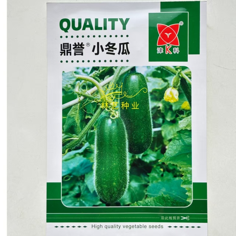 鼎誉小冬瓜种子早熟皮薄毛节小冬瓜种籽肉质紧肉质细腻甜脆清