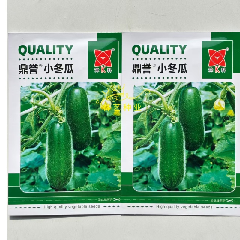 鼎誉小冬瓜种子早熟皮薄毛节小冬瓜种籽肉质紧肉质细腻甜脆清