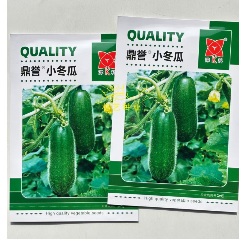 鼎誉小冬瓜种子早熟皮薄毛节小冬瓜种籽肉质紧肉质细腻甜脆清