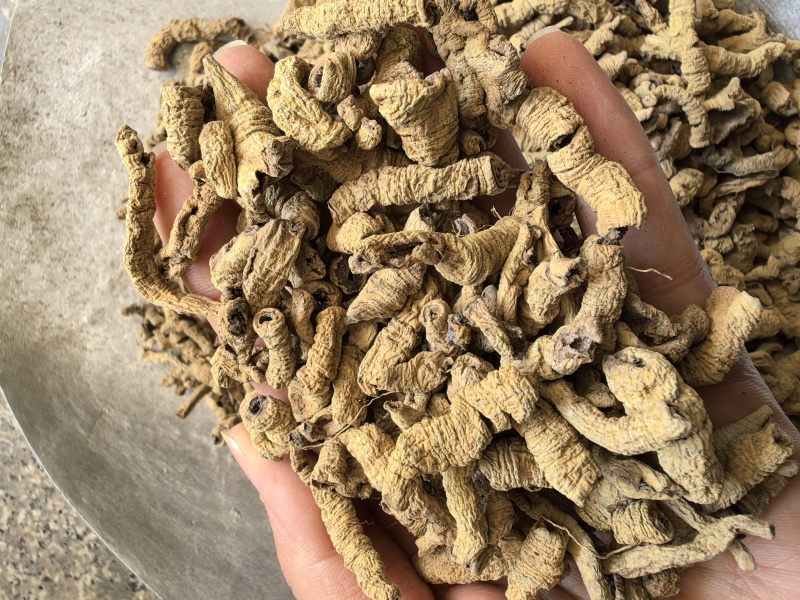 巴戟天巴戟肉抽筋无硫只卖好货品质保证价格实惠
