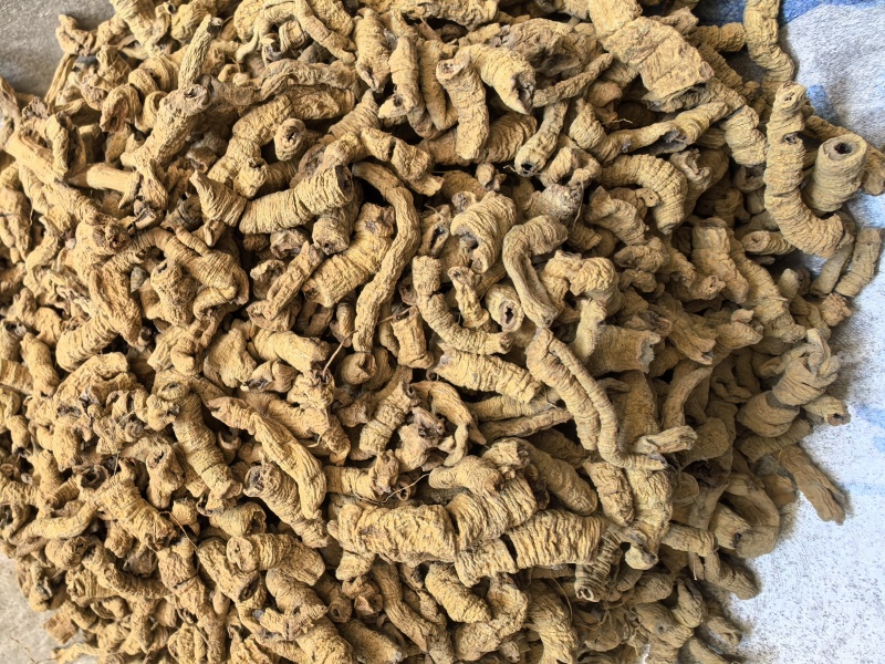 巴戟天巴戟肉抽筋无硫只卖好货品质保证价格实惠