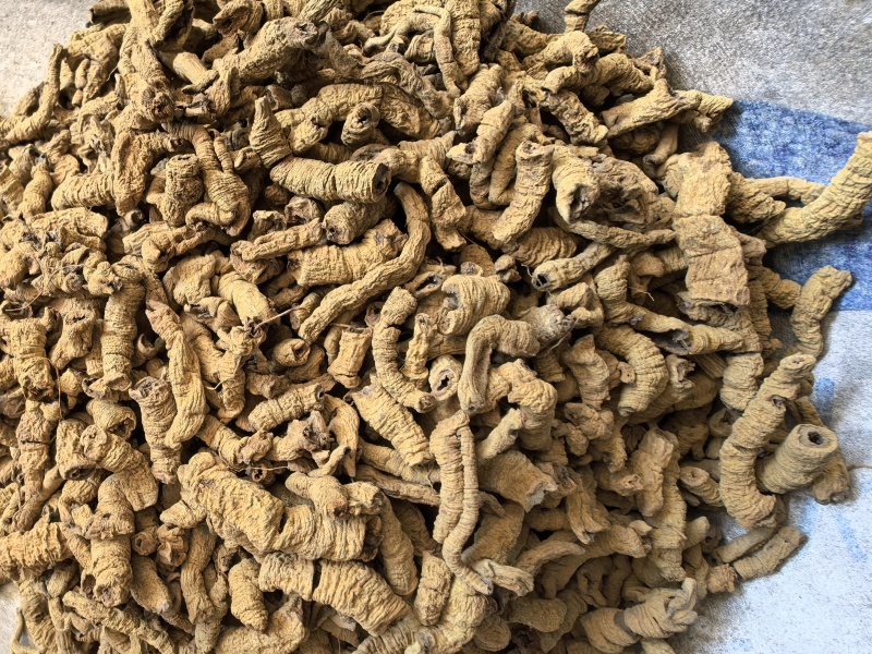 巴戟天巴戟肉抽筋无硫只卖好货品质保证价格实惠