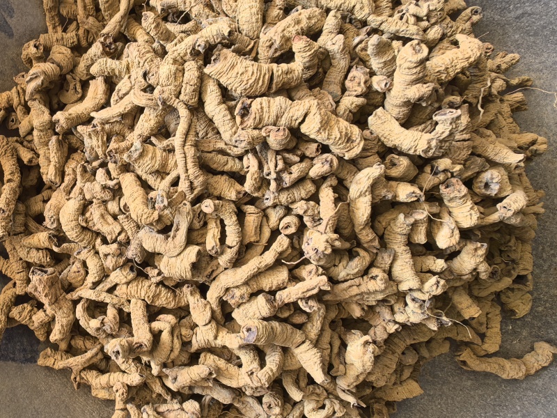 巴戟天巴戟肉抽筋无硫只卖好货品质保证价格实惠
