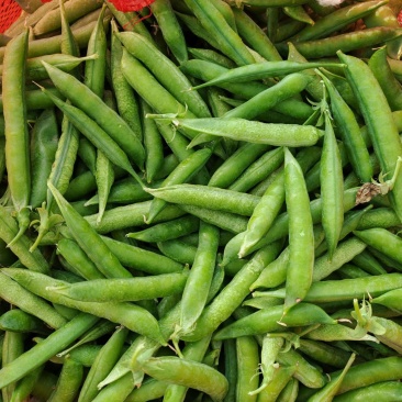 本地豌豆大量上市