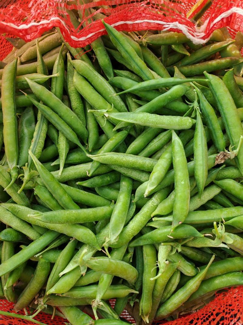 本地豌豆大量上市