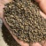 吴茱萸小花吴茱萸品质保证价格实惠
