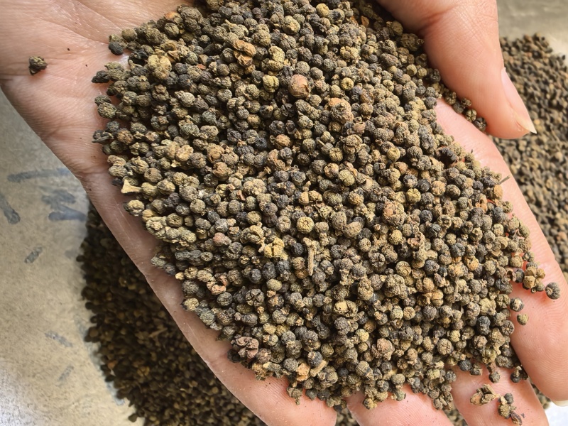 吴茱萸小花吴茱萸品质保证价格实惠