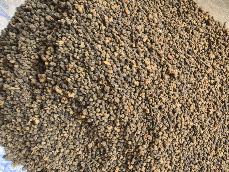 吴茱萸小花吴茱萸品质保证价格实惠