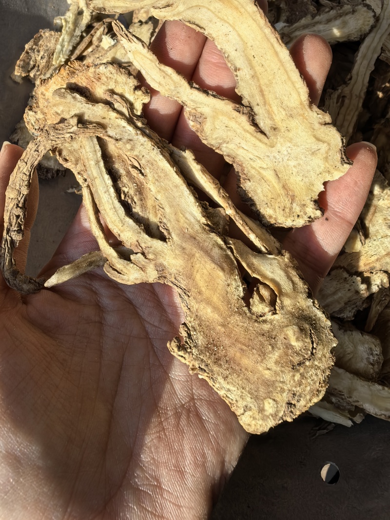 当归当归头片颜色好规格齐全品质保证价格实惠
