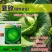 夏致甘蓝种子扁圆球型抗热抗病绿球甘蓝耐高温包头菜种子