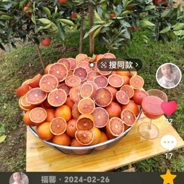 四川资中血橙