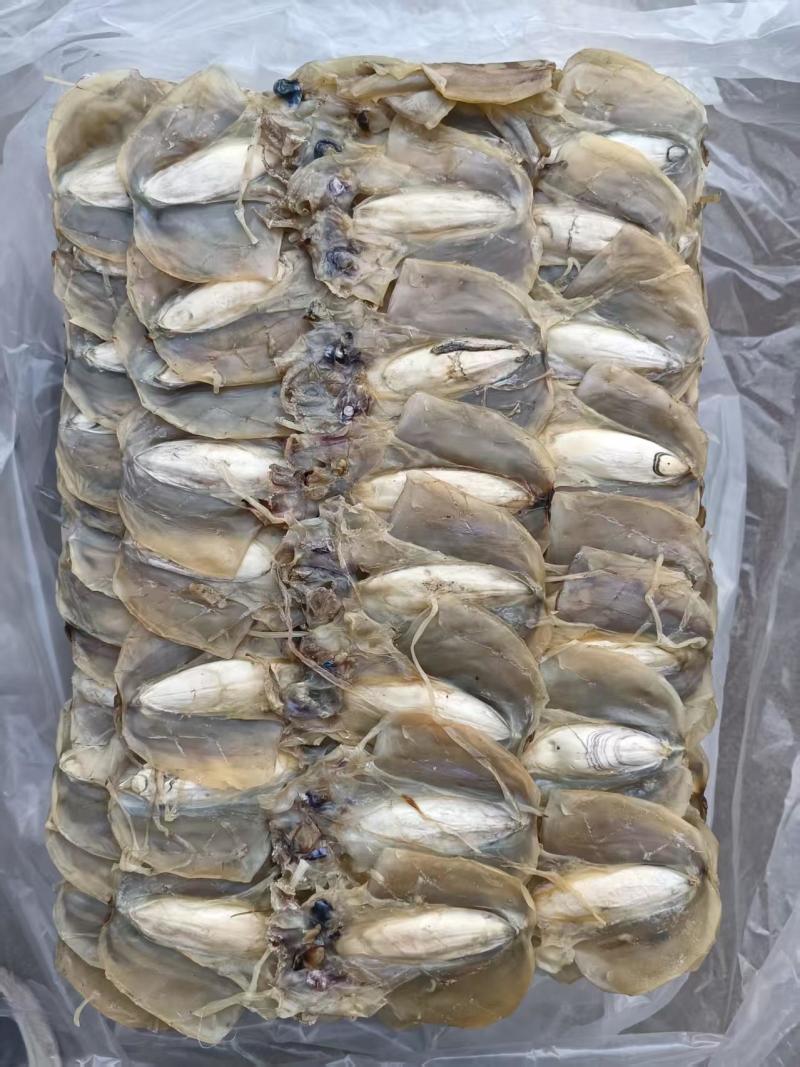 浙江东海老渔民自晒墨鱼干淡干无盐煲汤炒菜鲜甜不腥
