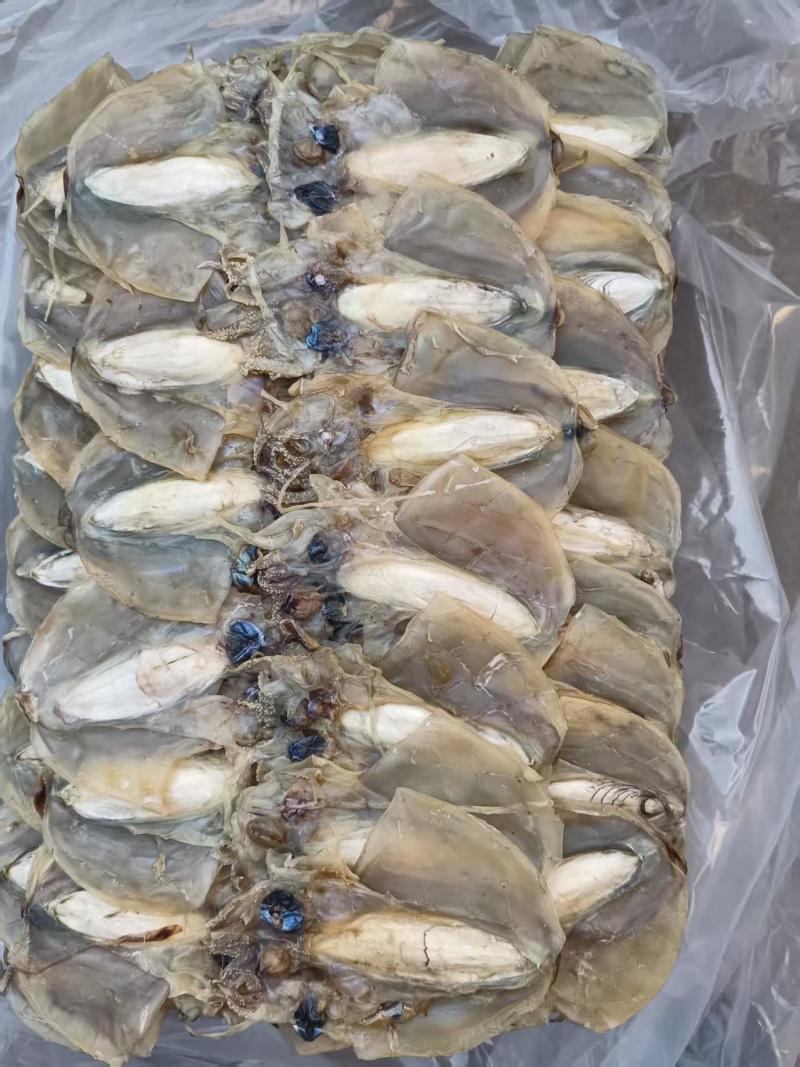 浙江东海老渔民自晒墨鱼干淡干无盐煲汤炒菜鲜甜不腥