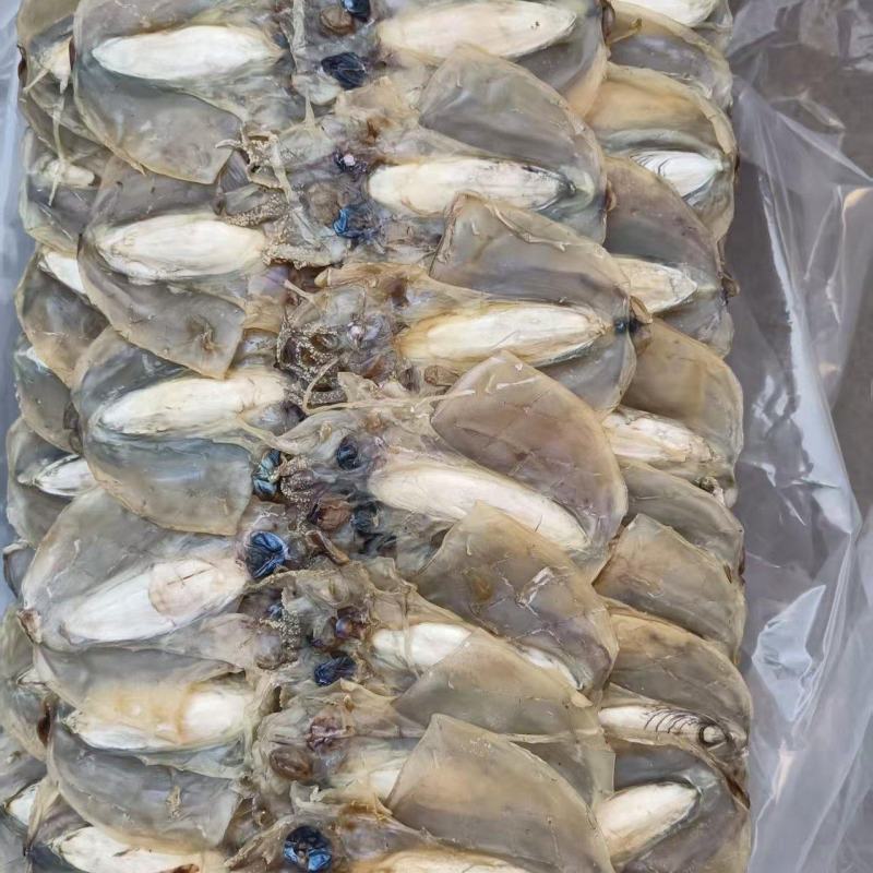 浙江东海老渔民自晒墨鱼干淡干无盐煲汤炒菜鲜甜不腥