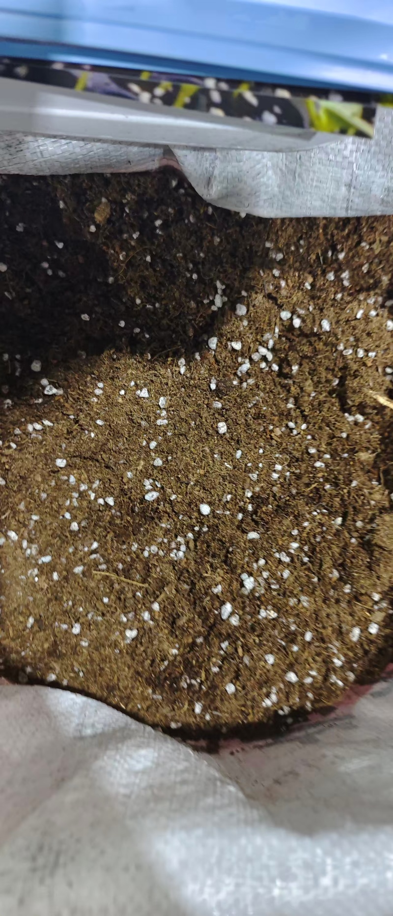辽宁工厂直发育苗基质栽培基质量大从优一条龙服务