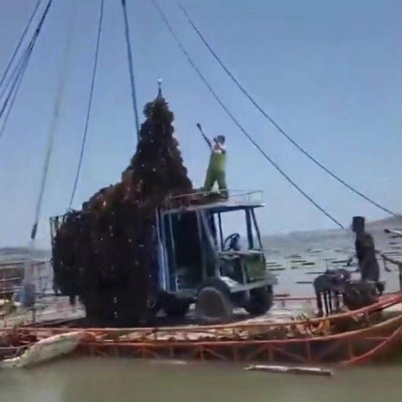 代客收购海带海边视频看货只收打包费和跑腿费