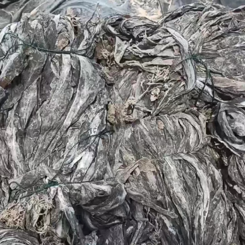 代客收购海带海边视频看货只收打包费和跑腿费