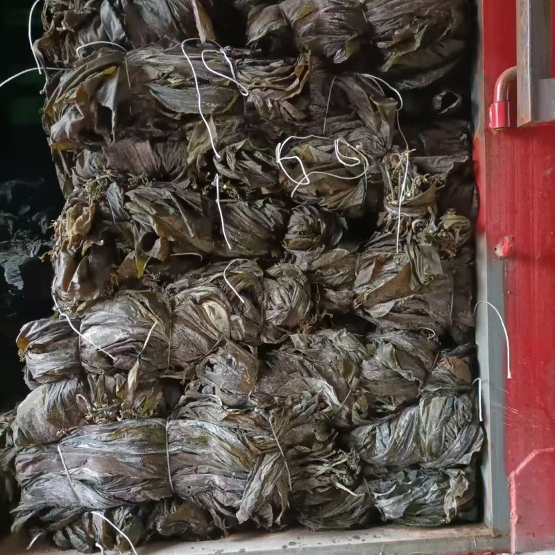 代客收购海带海边视频看货只收打包费和跑腿费
