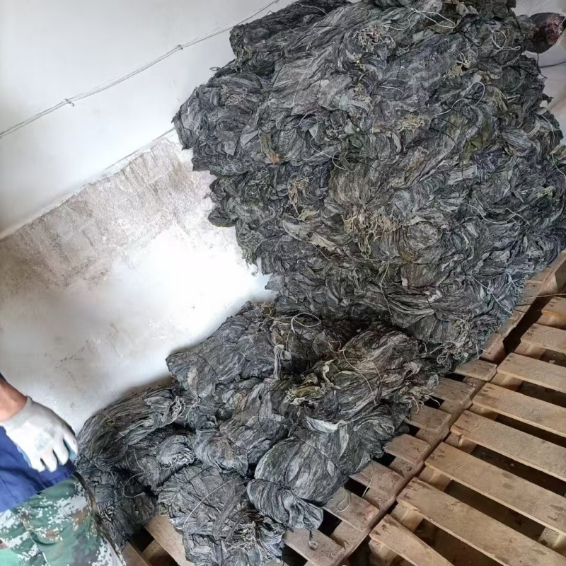 代客收购海带海边视频看货只收打包费和跑腿费
