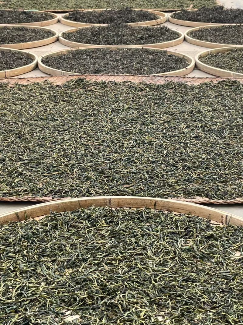 云南临沧古树茶