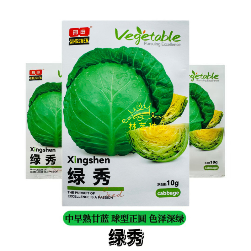绿秀甘蓝种子中早熟松软黄心包菜种子球形正圆色泽深绿有光泽