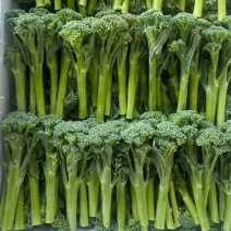 西兰苔亚菲甜杠西兰苔精品特菜供应市场电商