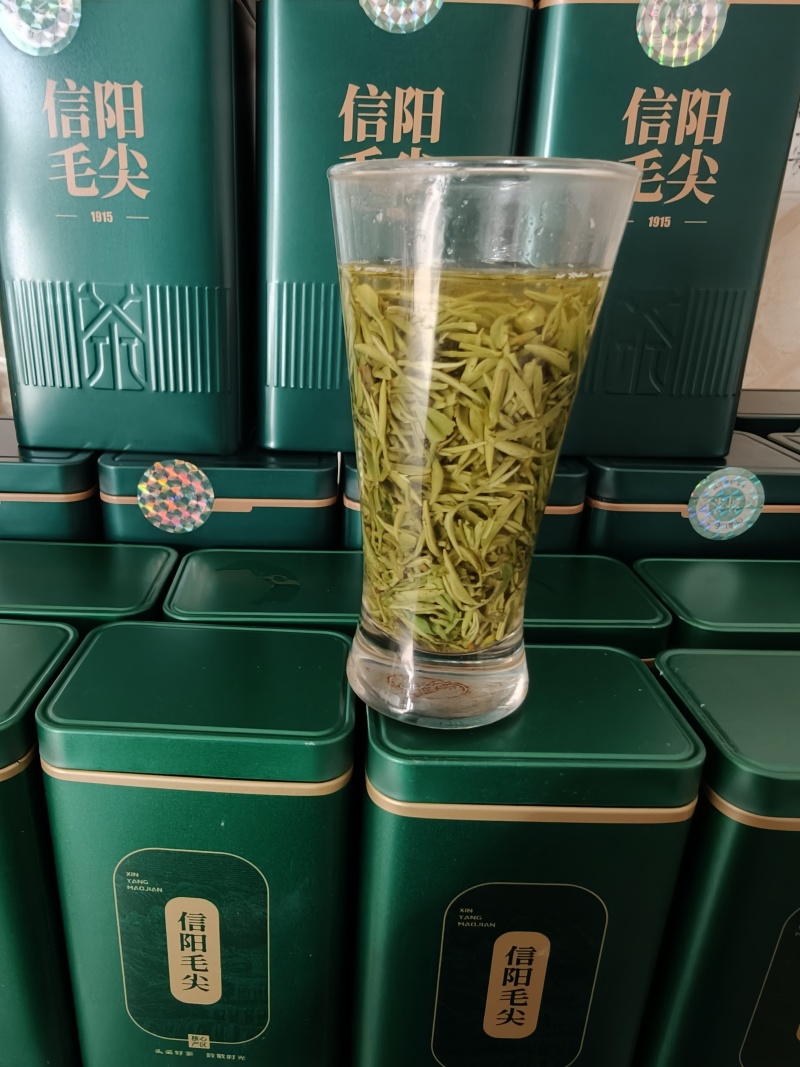 信阳毛尖，2026新茶上市