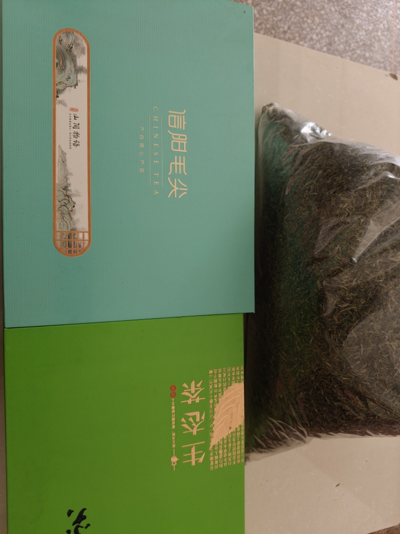 信阳毛尖，2026新茶上市
