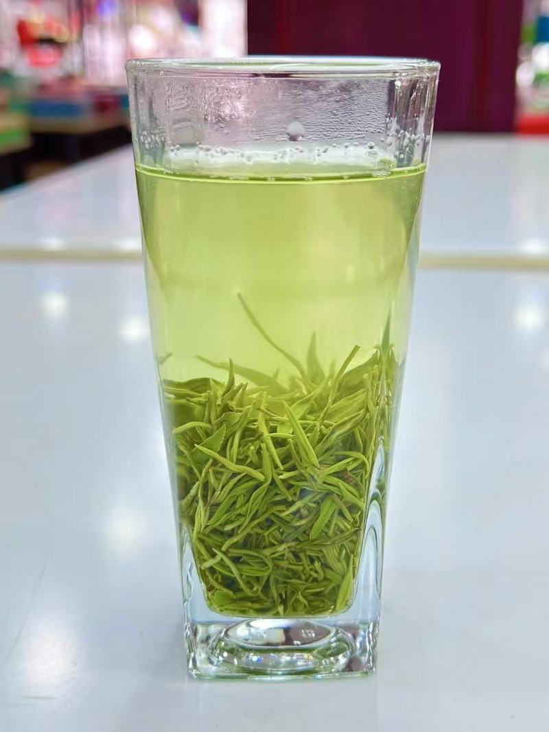 湖北保康高山绿茶