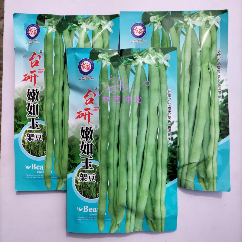 台研嫩如玉架豆种子白绿鲜嫩长荚高产抗病商品性佳