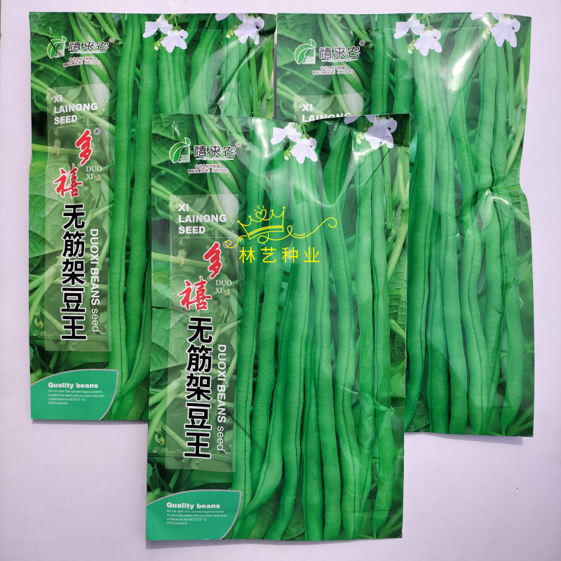 多禧无筋架豆王种子无筋架豆王无丝豆春季荚长肉厚四季豆角