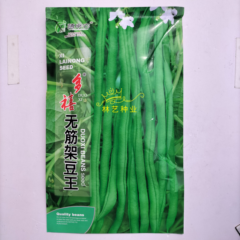 多禧无筋架豆王种子无筋架豆王无丝豆春季荚长肉厚四季豆角