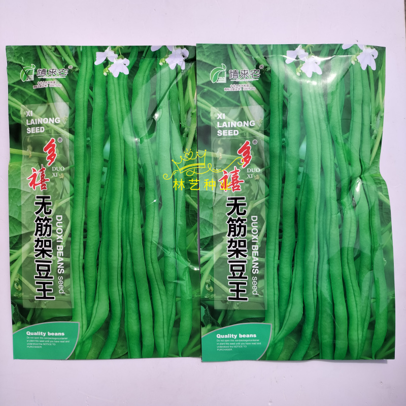 多禧无筋架豆王种子无筋架豆王无丝豆春季荚长肉厚四季豆角