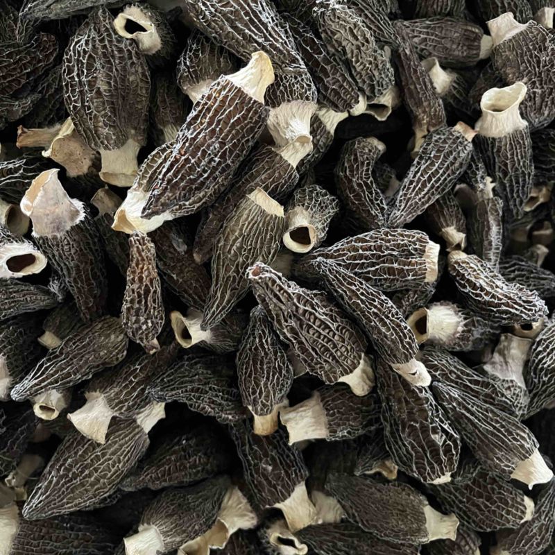 2026精品羊肚菌头茬肉厚，角白3-5厘米
