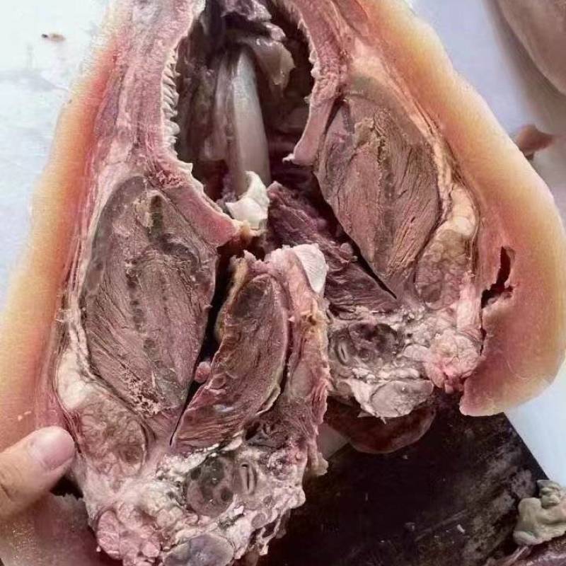 纯干熟牛头肉质量保证品类齐全工厂直销拒绝中间商赚