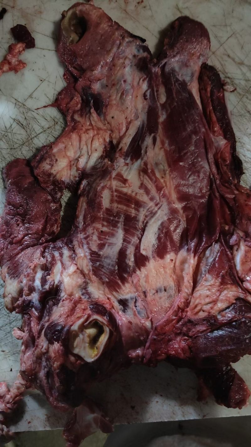 纯干熟牛头肉质量保证品类齐全工厂直销拒绝中间商赚