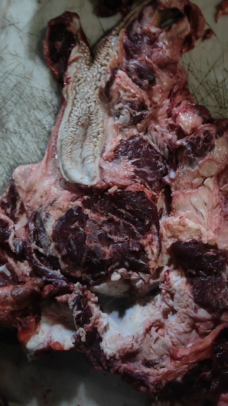 纯干熟牛头肉质量保证品类齐全工厂直销拒绝中间商赚