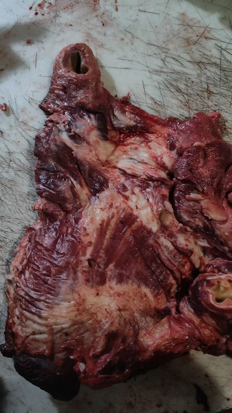 纯干熟牛头肉质量保证品类齐全工厂直销拒绝中间商赚