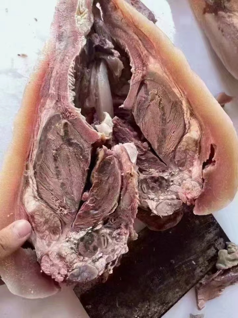 纯干熟牛头肉质量保证品类齐全工厂直销拒绝中间商赚