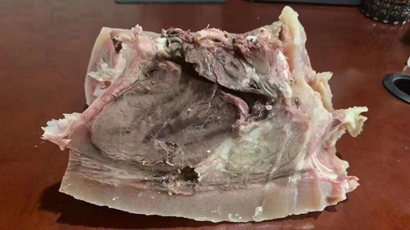 纯干熟牛头肉质量保证品类齐全工厂直销拒绝中间商赚