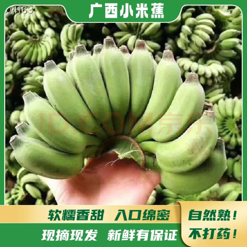 广西小米蕉特价一件代发电商货特价源头直发