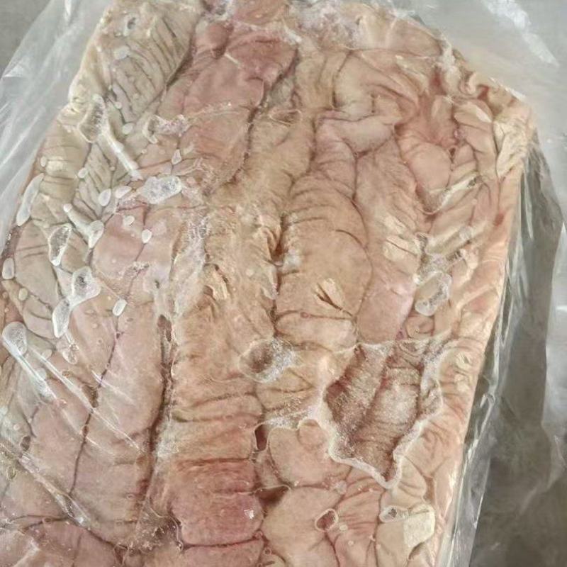 生大肠