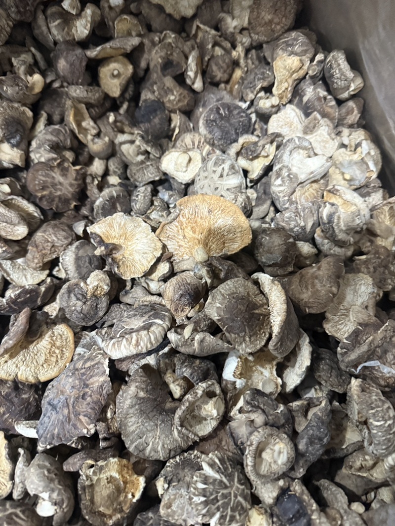 随州香菇大片香菇