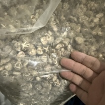 随州香菇珍珠花菇