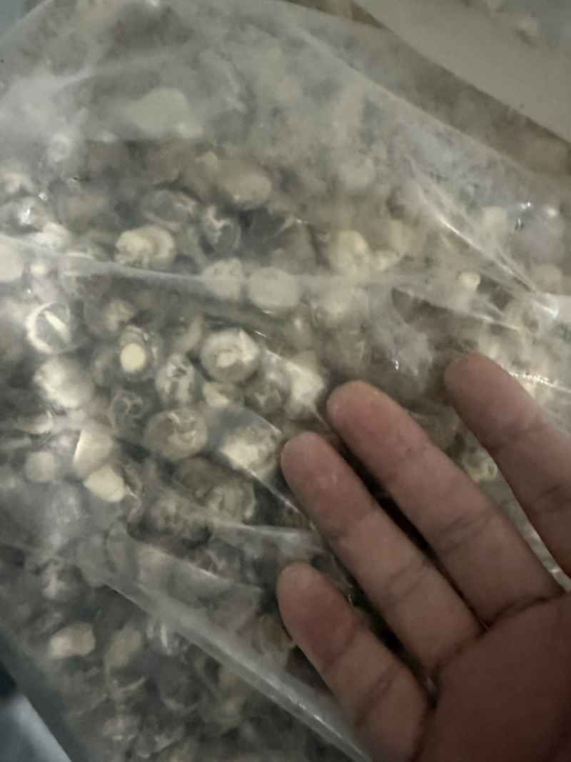 随州香菇珍珠花菇