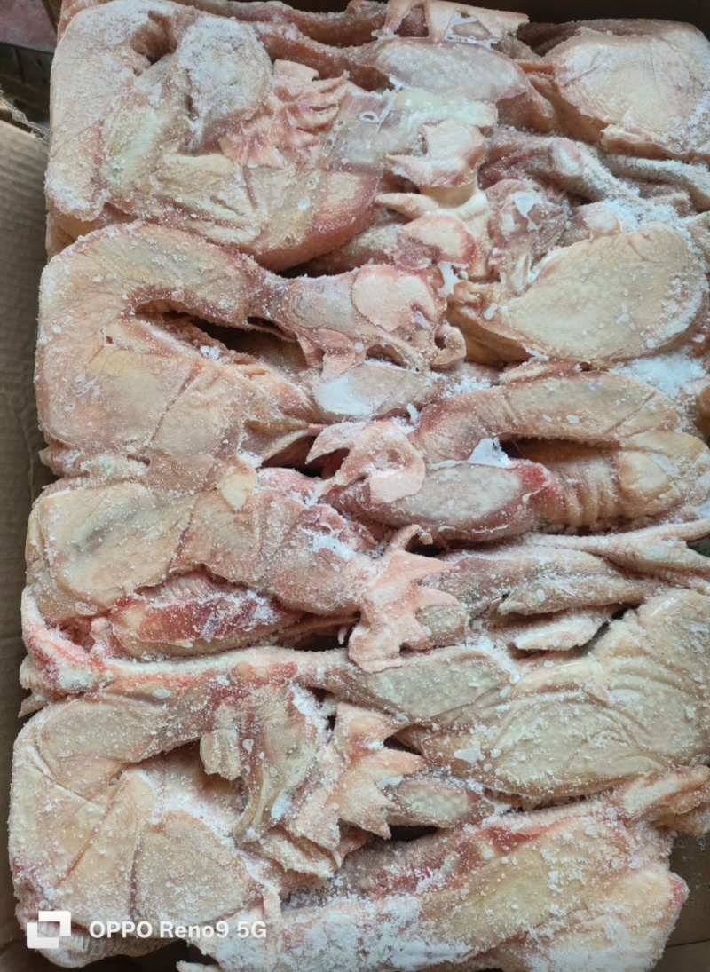纯干货老母鸡6-10只，净重11kg/件
