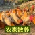 苏禽土鸡青年鸡苗一斤半左右