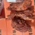 卤味熟食猪肉卤腱子肉全熟卤味泓鑫厂厂家直营
