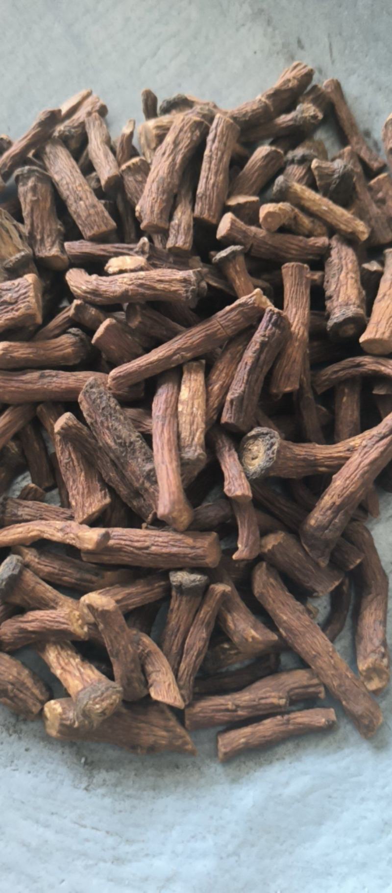 蒲公英蒲公英根茶用药用批发蒲公英根质量保证量大从优